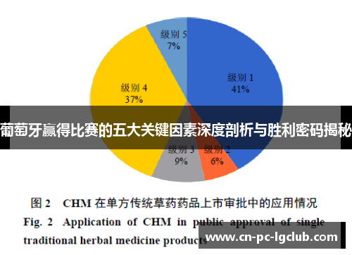 葡萄牙赢得比赛的五大关键因素深度剖析与胜利密码揭秘