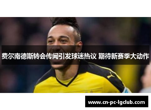 费尔南德斯转会传闻引发球迷热议 期待新赛季大动作 费尔南德斯转会传闻引发球迷热议 期待新赛季大动作