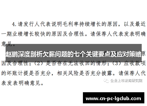 赵鹏深度剖析欠薪问题的七个关键要点及应对策略 赵鹏深度剖析欠薪问题的七个关键要点及应对策略