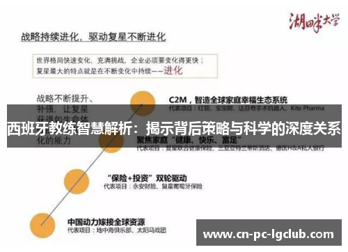 西班牙教练智慧解析：揭示背后策略与科学的深度关系